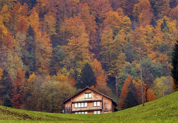 The Swiss version of indian summer, with all the colors of autumn, to be seen outside Wildhaus in the region Toggenburg, Switzerland, Wednesday, October 22, 2003. (KEYSTONE/Eddy Risch)
