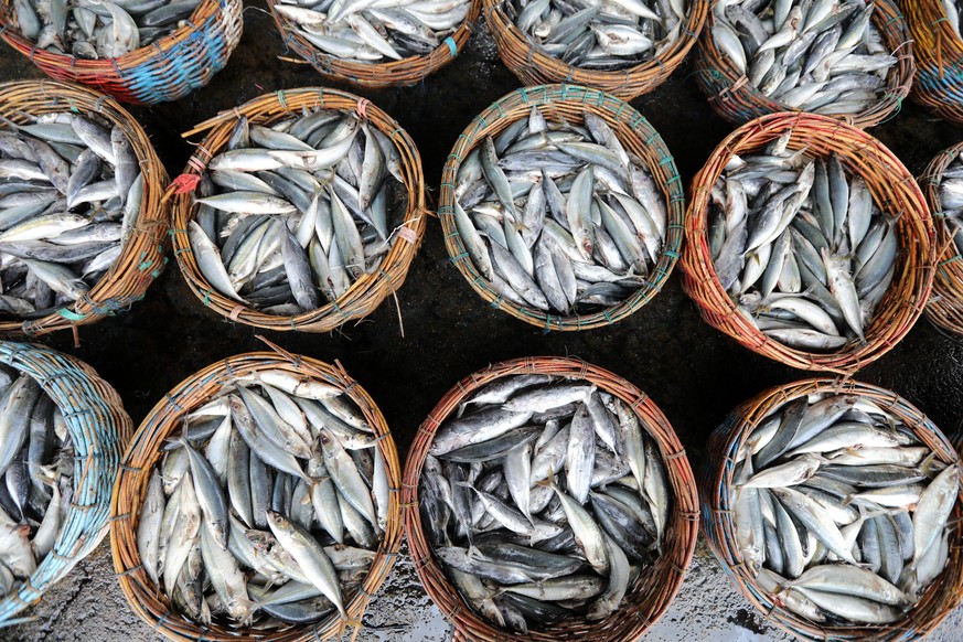 epa11005083 Fishermen sell fish to consumers at the fish auction at Lampulo fishing port, Banda Aceh, Indonesia, 01 December 2023. Indonesian Traditional Fishermen Association in Aceh stated that clim ...