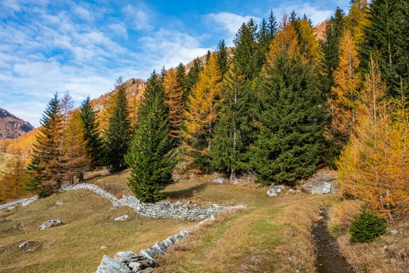 Rauszeit Herbstwanderung Hittuwald