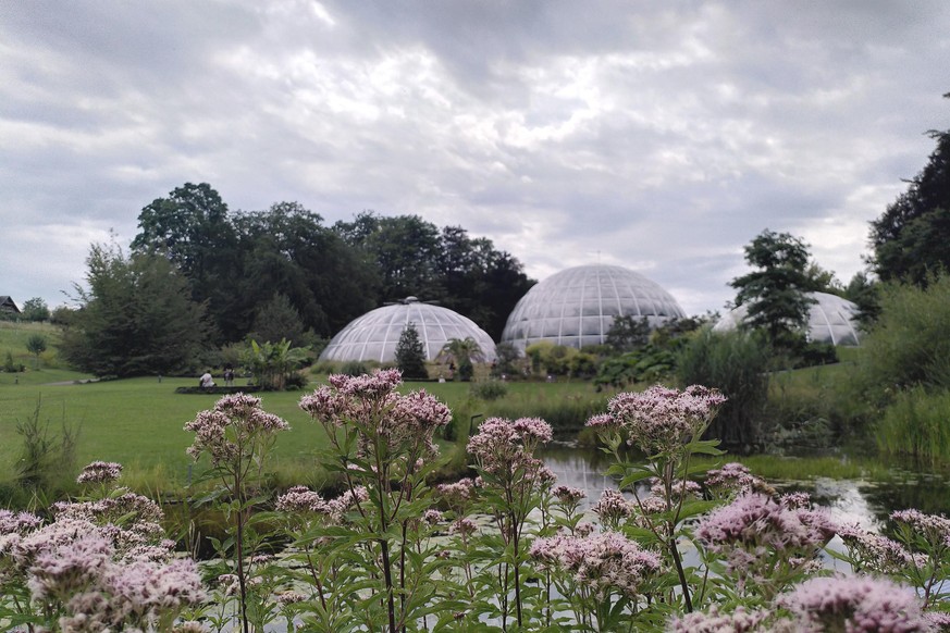 wwf botanischer garten