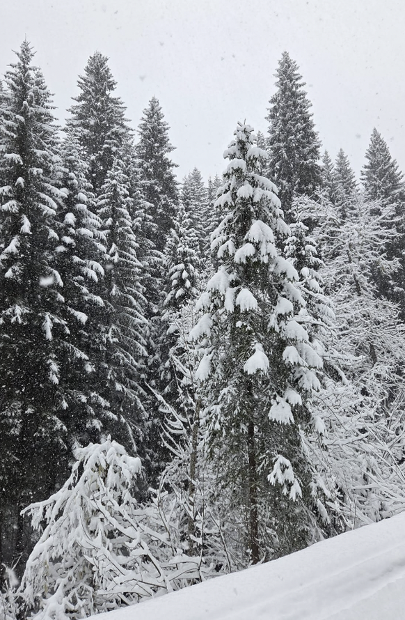 Les Diablerets VD Schnee