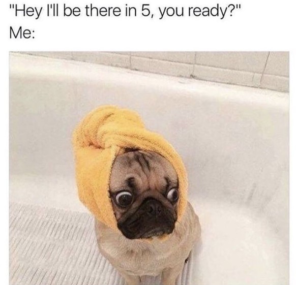 Funny and beautiful dog memes for World Dog Day 2023