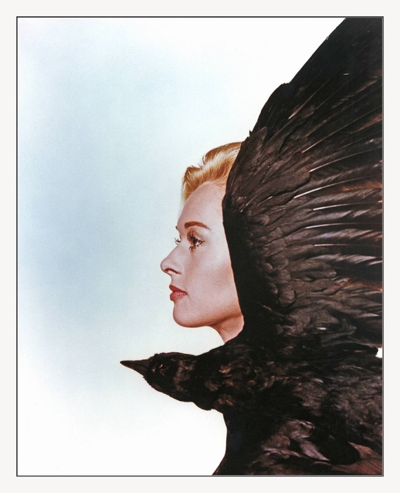 Tippi Hedren - The Birds 401 The Birds 1963 1963 American horror-thriller film directed and produced by Alfred Hitchcock, loosely based on the 1952 story of the same name by Daphne du Maurier.