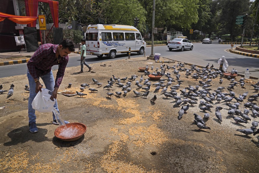 A man fills fresh water for birds at a crossing as a heat wave continues to lash the capital, in New Delhi, India, Monday, April 11, 2022. On Tuesday, the India Meteorological Department predicted max ...