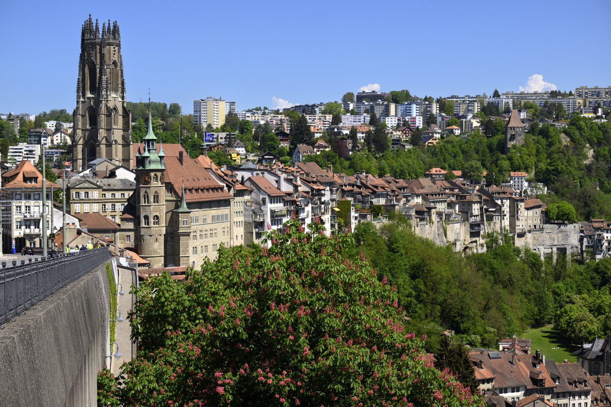 L' hotel de ville, centre, la cathedrale Saint-Nicolas, et la vielle ville de Fribourg photographies apres une conference de presse du Conseil d'Etat du canton de Fribourg concernant la pres ...