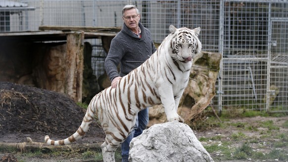 Rene Strickler, Inhaber des Raubtierparks Subingen, posiert mit einer weissen Tiger am Mittwoch, 24. Februar 2016, im Raubtierpark in Subingen. Strickler kaempft seit Jahren um seinen Tierpark, doch e ...