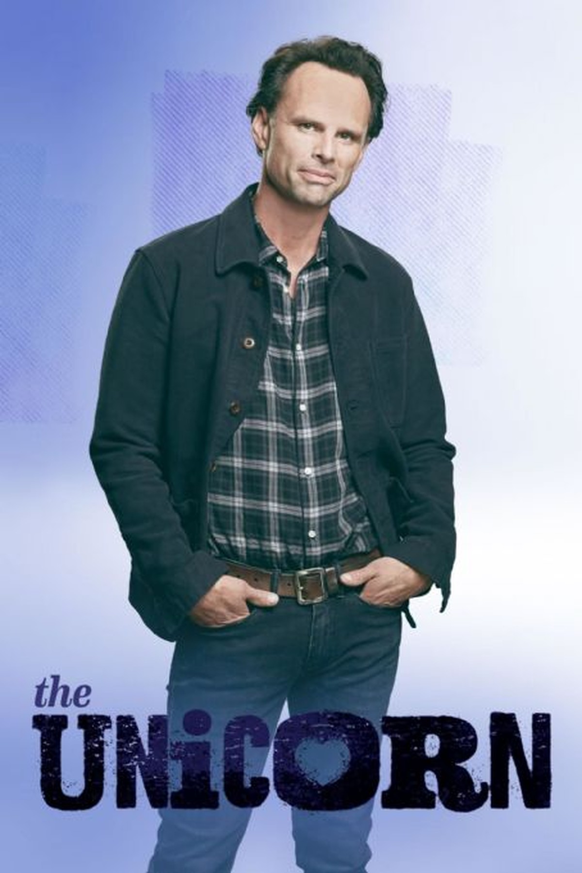 The Unicorn