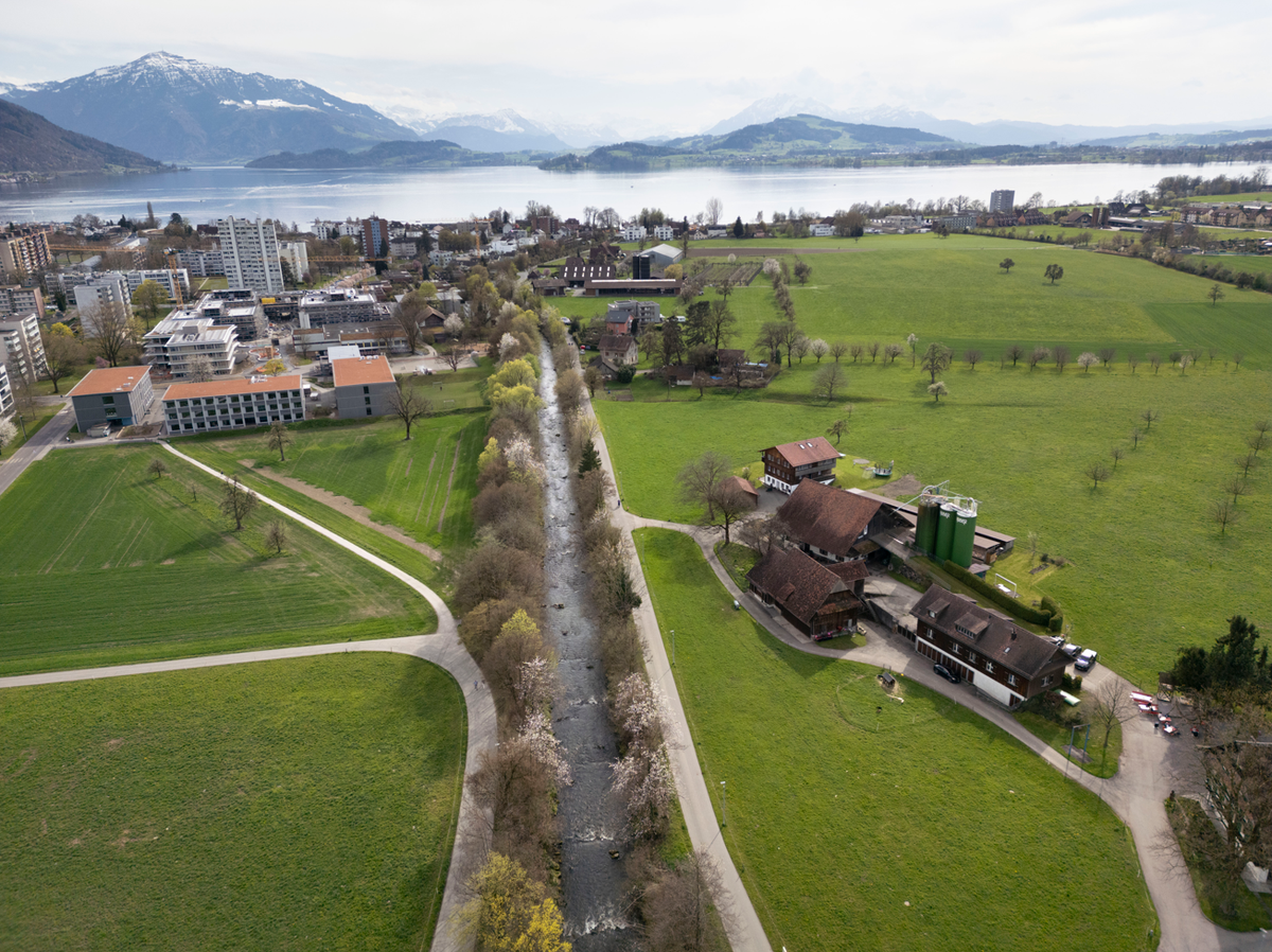 Die Lorzenebene – die «Grüne Lunge» des Zugersee-Ufers.