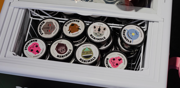 New gelateria in Zurich: Nanimale with vegan ice cream.