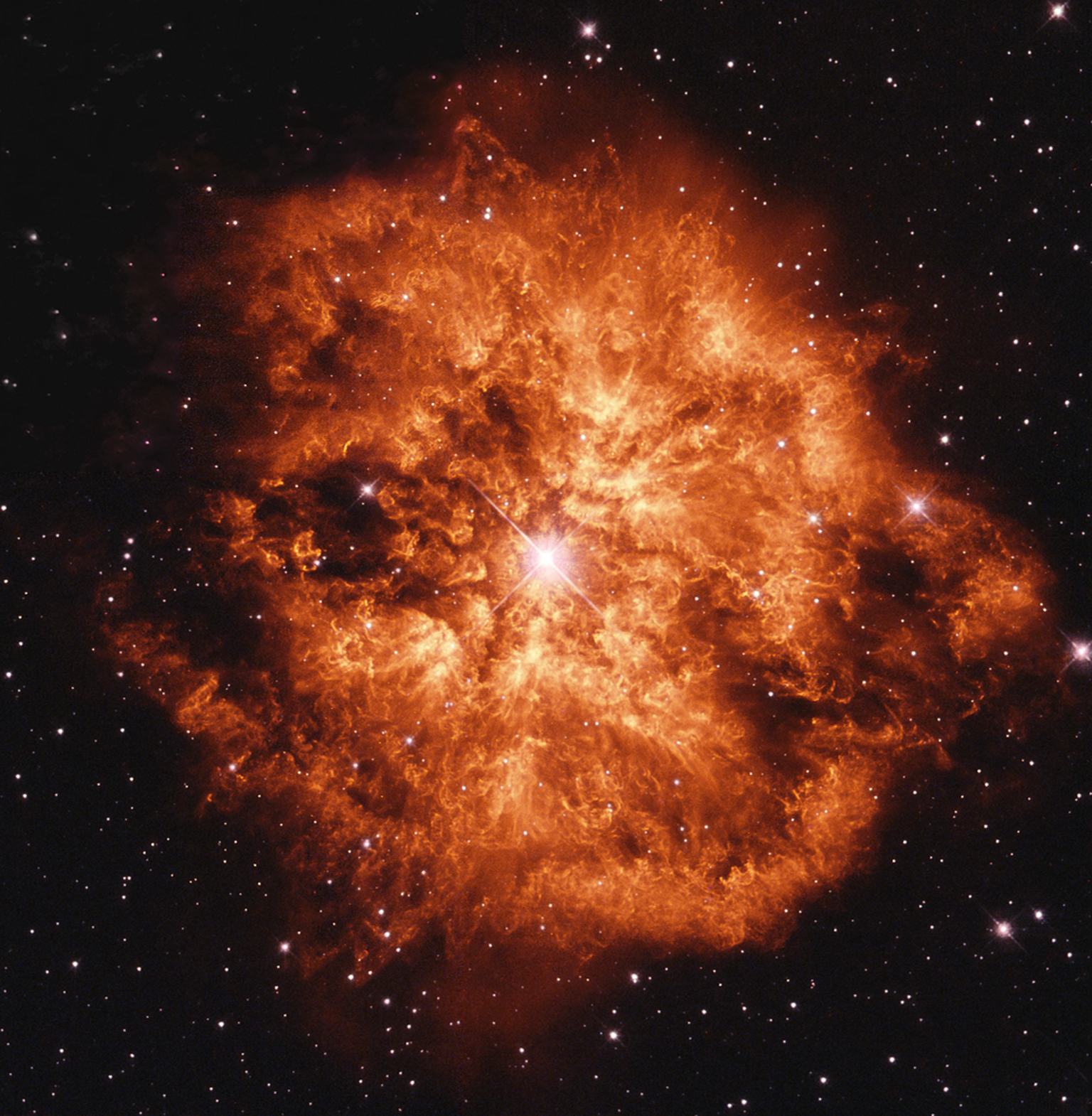 Wolf-Rayet star WR-124 with surrounding planetary nebula M1-67 (Hubble telescope image) https://en.wikipedia.org/wiki/WR_124#/media/FILE:M1-67_&_WR124.png