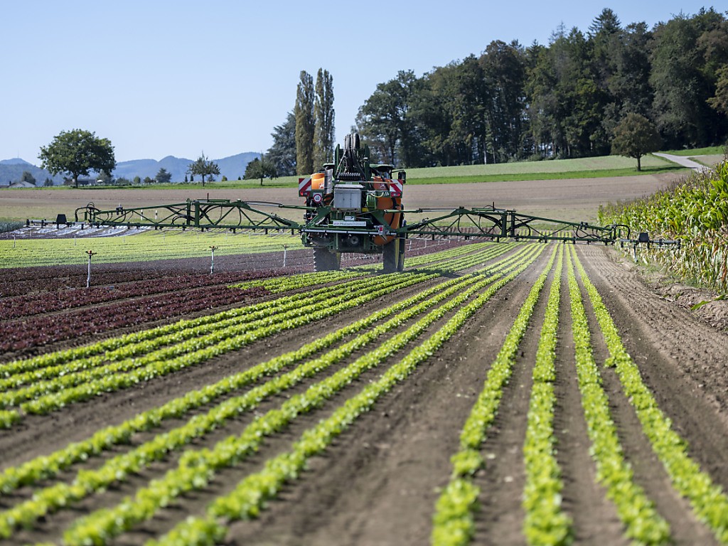 Gleich zwei Agrar-Initiativen richten sich gegen den Einsatz von Pestiziden in der Schweizer Landwirtschaft.