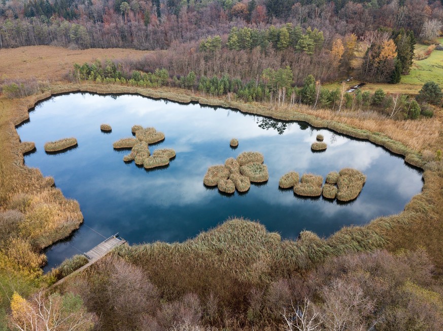 Aerial image of a pond with floating turf mats,, Aerial image of a pond with floating mats, which were cut of from peat block covered with growing shrubs in old times Rauszeit Moorlandschaften Barchet ...