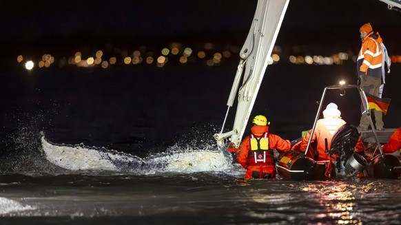 Buckelwal strandet vor Niendorfer Hafeneinfahrt Timmendorfer Strand, 26.03.26 Timmendorfer Strand Schleswig-Holstein Germany *** Humpback whale stranded off Niendorf harbor entrance Timmendorfer Stran ...
