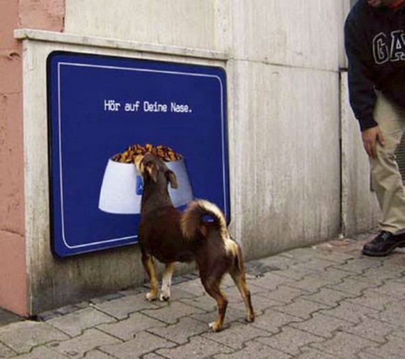 Hund will Hundefutter auf Plakat essen.
http://imgur.com/a/9KdEr