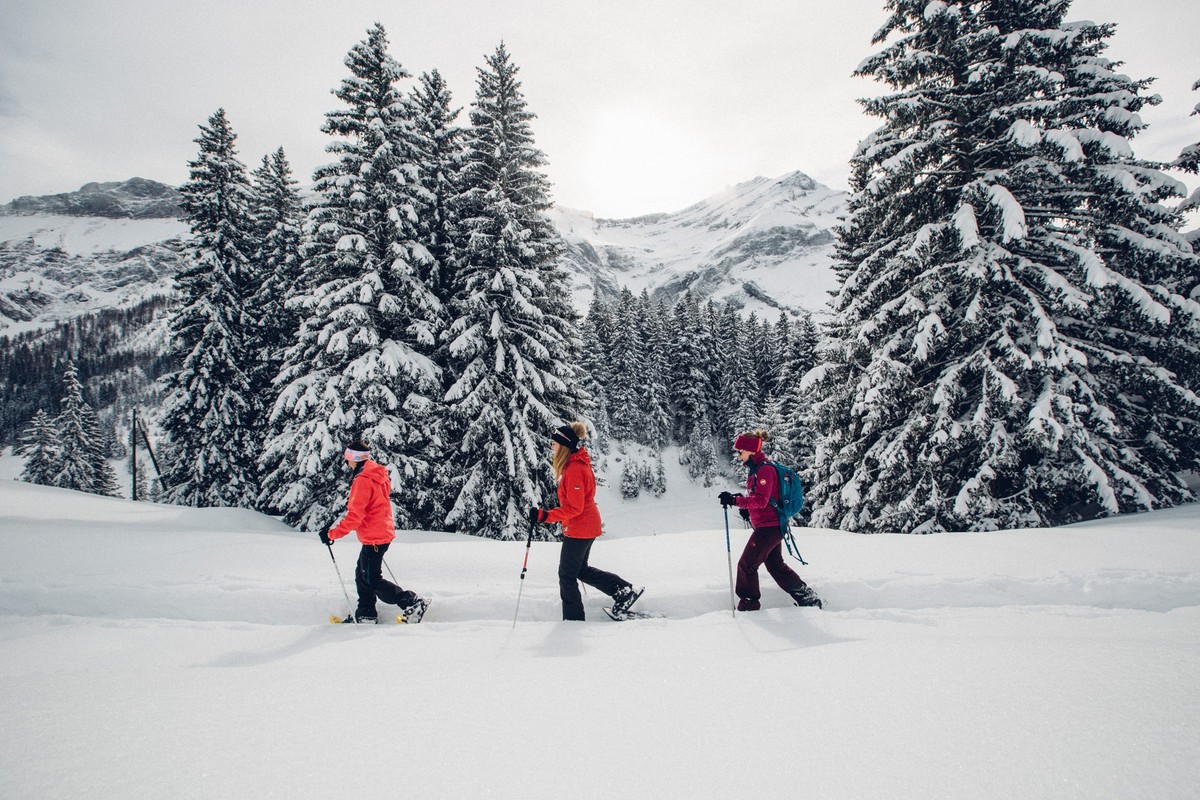 Balade en raquettes aux Diablerets.