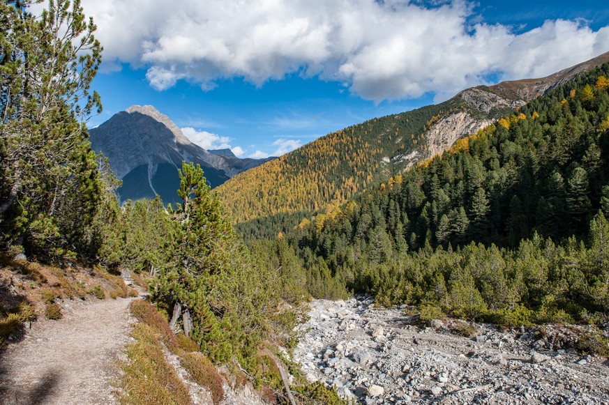 Val Mingèr Nationalpark Lärchen Rauszeit beste Herbstwanderungen Schweiz