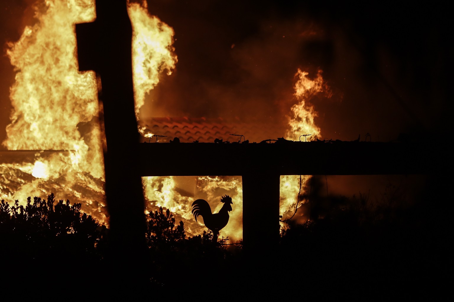 epaselect epa06906910 A rooster, decoration of a burned house is seen during a forest fire in Mati a northeast suburb of Athens, Greece, 23 July 2018. After the wildfire in Kineta a second wildfire br ...