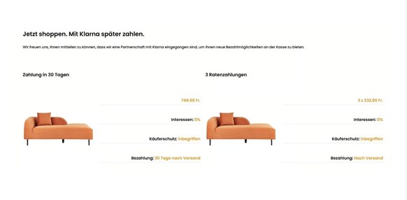 So bewirbt der Online-Möbelhändler Beliani die Klarna-Ratenzahlung.