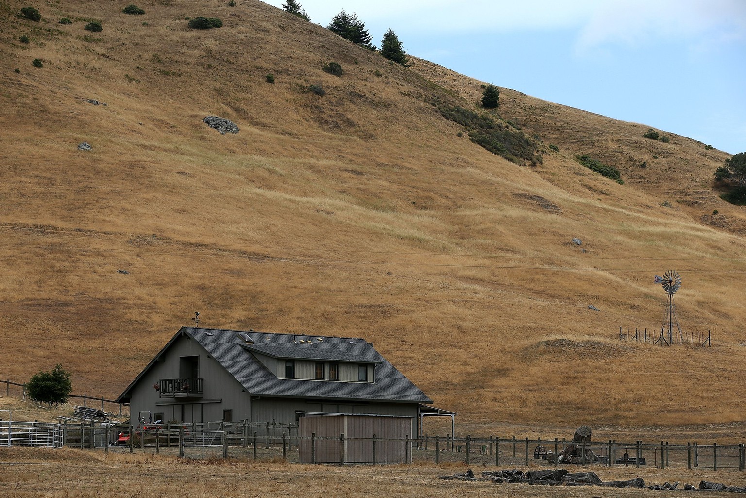 Totes braunes Gras auf diesem Hügel in Nicasio, Kalifornien.