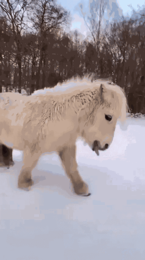 Animiertes GIF