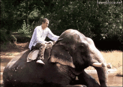 Animiertes GIF