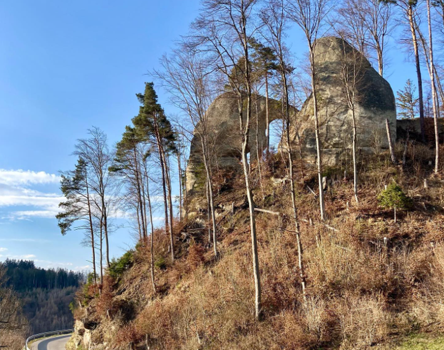 Elefant von Geristein Felslöcher Rauszeit
