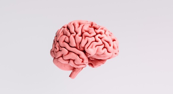 Menschliches Gehirn