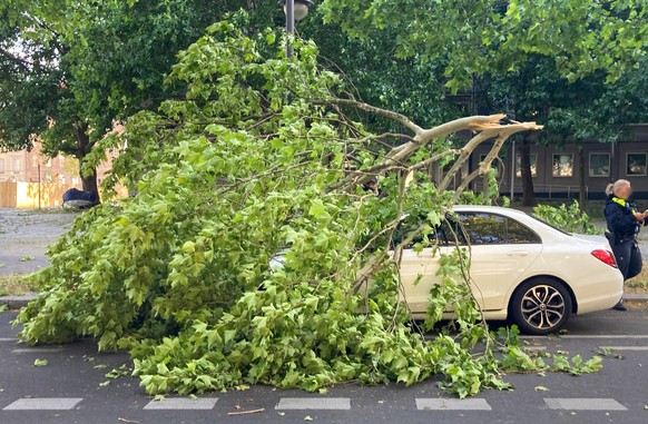 Grosser Ast liegt nach einem Sturm auf einem Auto in Berlin. Der heftige Sturm fuehrte zu zahlreichen Schaeden im Stadtgebiet. 23.06.2025, Berlin, GER Gro