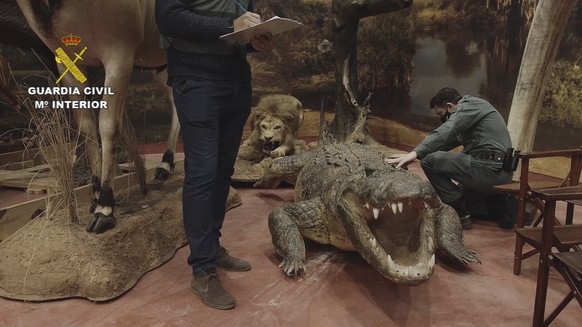 In this photo provided by the Spanish Civil Guard and made available on Sunday April 10, 2022, Civil Guards check stuffed animals in Betera, Spain. Spain&#039;s Civil Guard says it is investigating a  ...