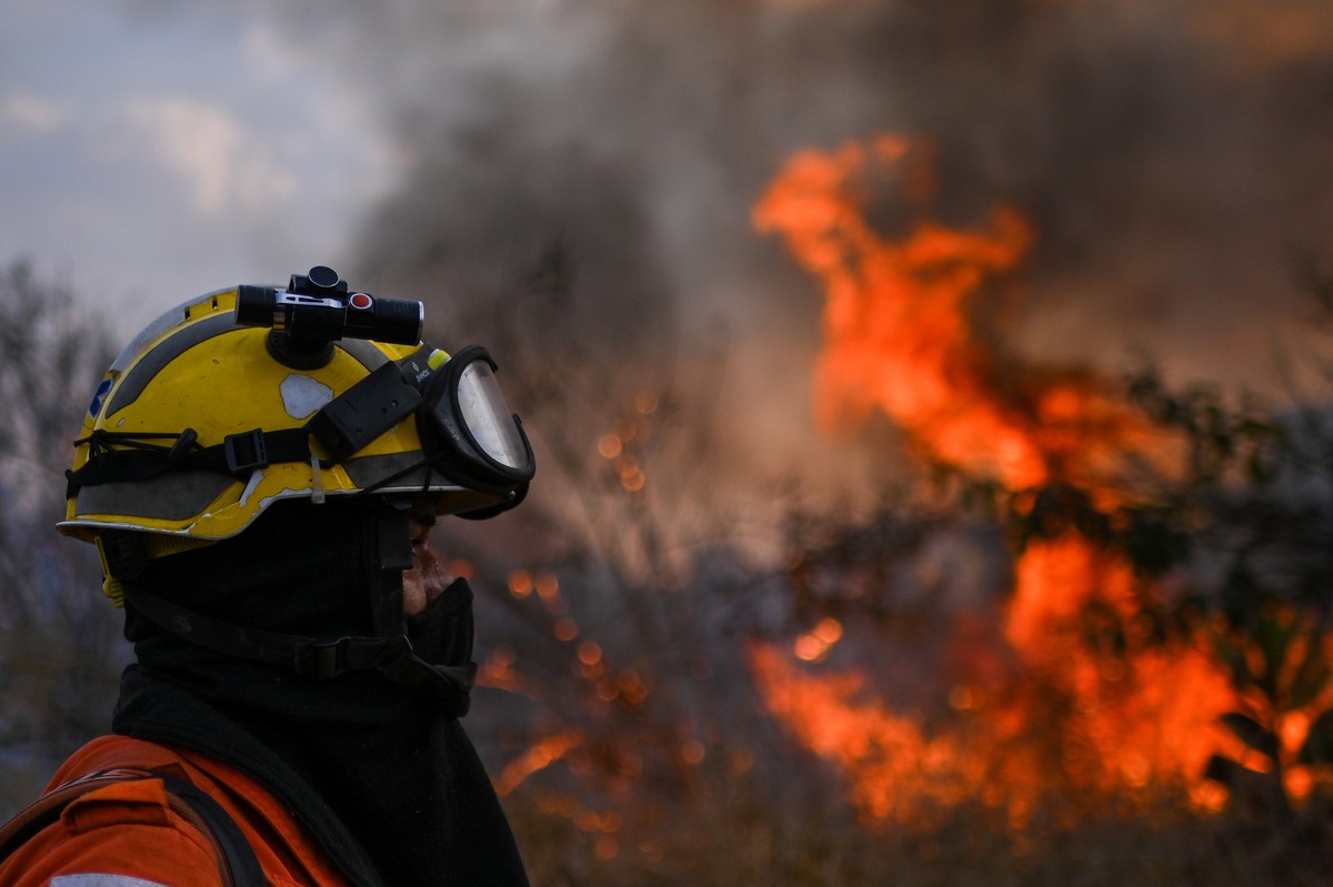 epa11567966 A firefighter from the Brasilia Environmental Institute (IBRAM) works to extinguish a forest fire in the Burle Marx Ecological Park, in Brasilia, Brazil, 27 August 2024. A Brazilian Suprem ...