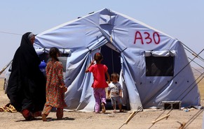 Hunderte Iraker flohen vor der Gewalt in Tal Afar in das kurdische Gebiet Erbil.&nbsp;