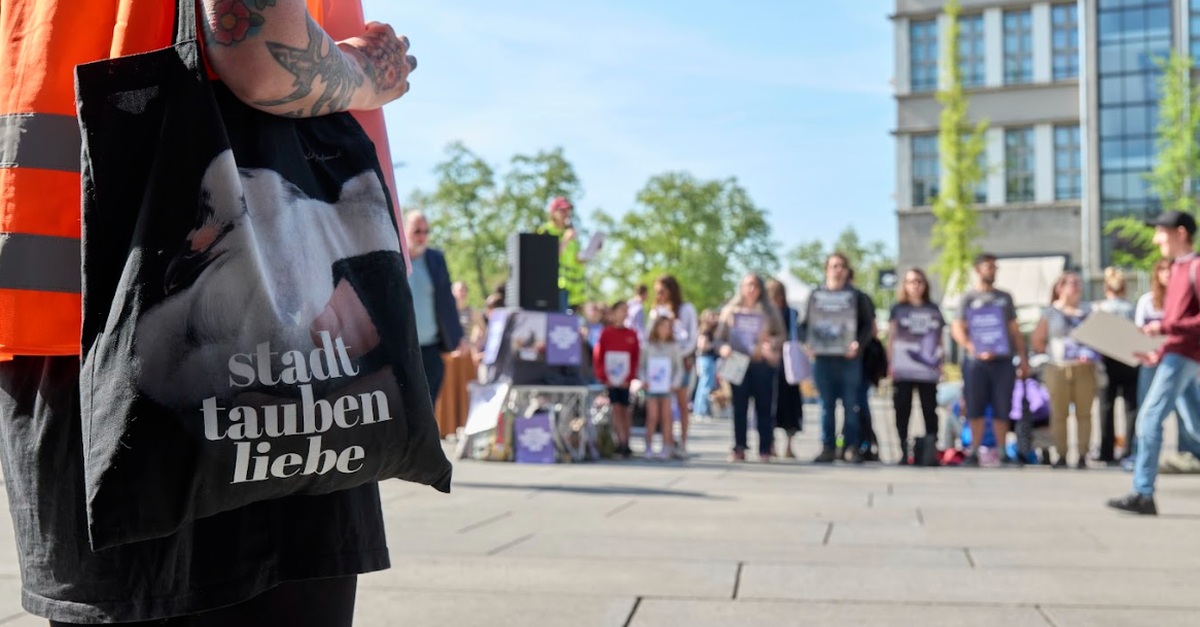 Protest in Zürich gegen Tauben-Keulung