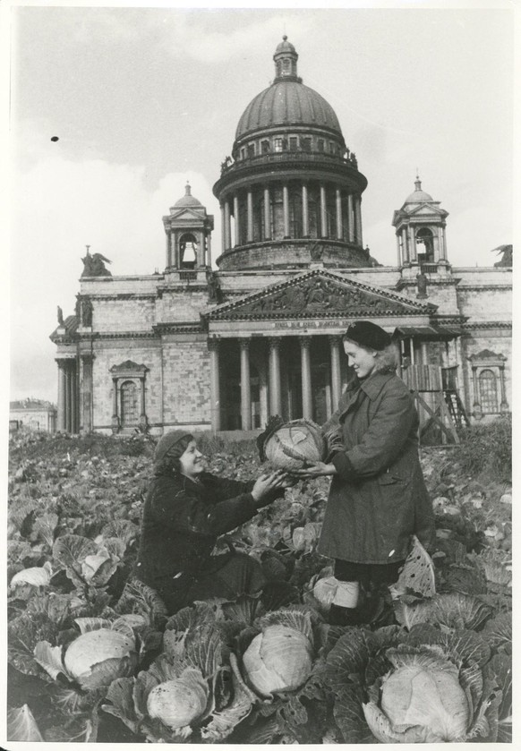 Kohl statt Rosen am Isaaksplatz, Leningrad, Herbst 1942.