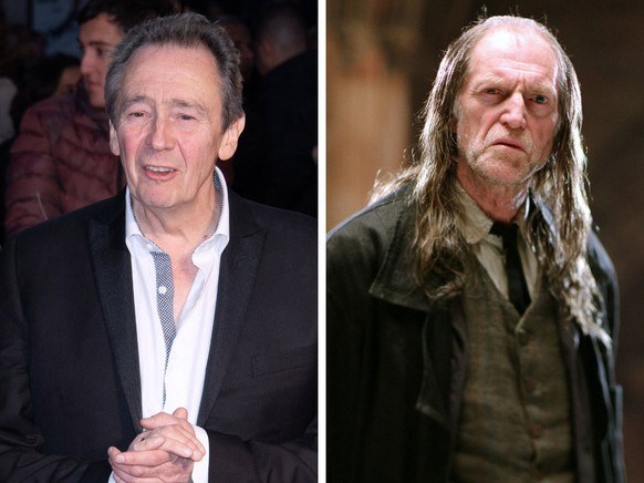 Paul Whitehouse als Argus Filch