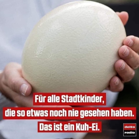 PICDUMP 409 – alle versammeln, es geht los!\nDie Kuh-Ei Fabrik steht meist gleich neben der Milchfabrik