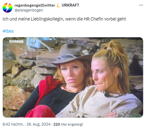 Dschungel Memes 2024