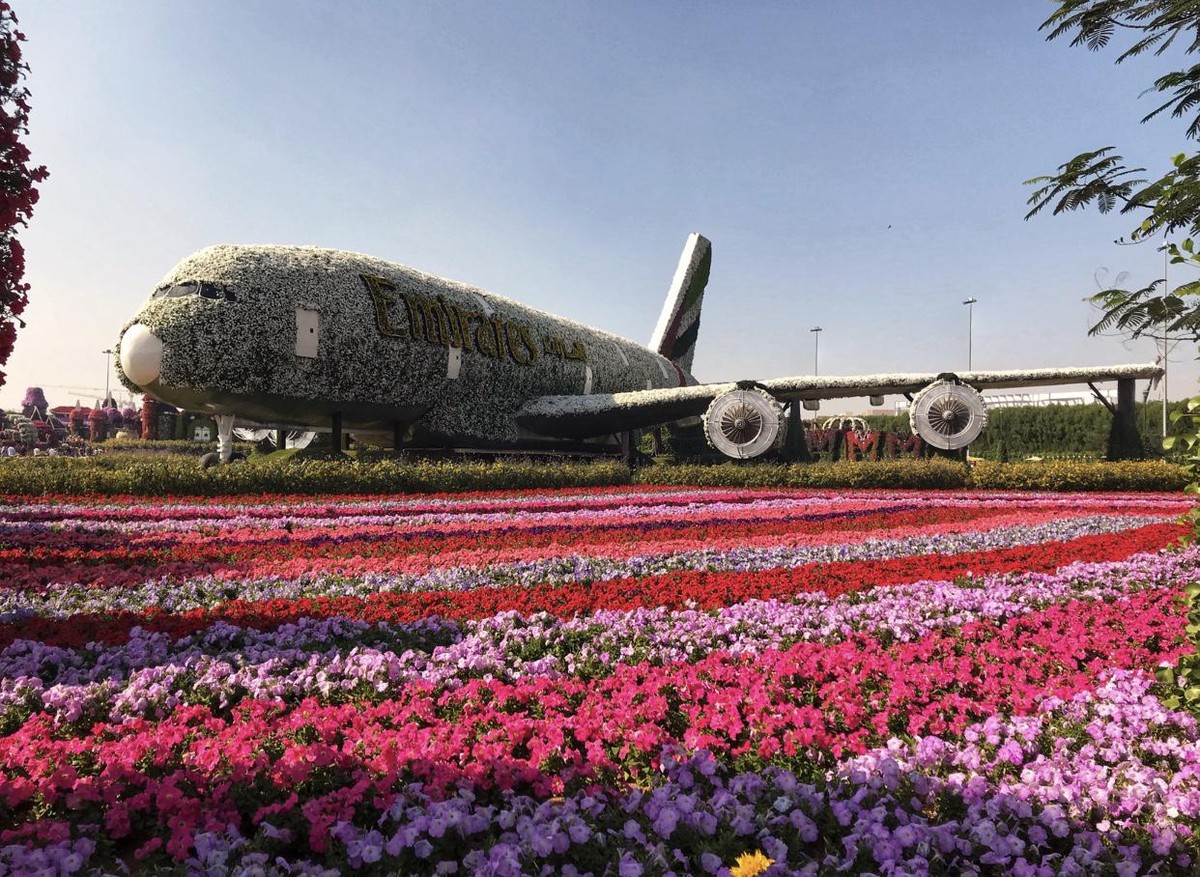 Dubai, Emirats arabes unis, mèmes