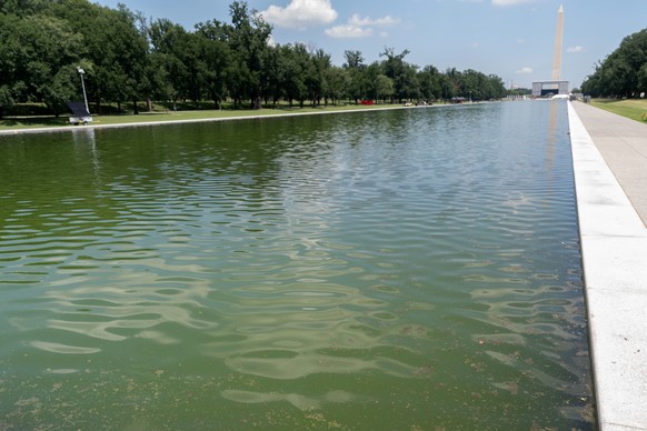 The Lincoln Memorial Reflecting Pool is seen, Monday, June 29, 2026, in Washington. (AP Photo/Mark Schiefelbein)
Lincoln Memorial Reflecting Pool