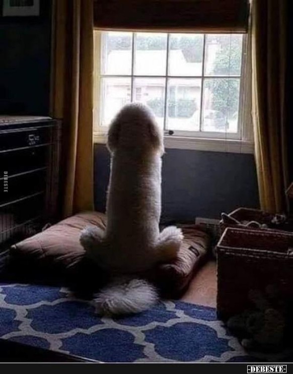 Neues Jahr, neue Fails! Happy 2022 euch allen mit diesen 27 Gifs! 脂\nEin gutes neues Jahr und das wir uns nie von jemanden verars.... lassen.