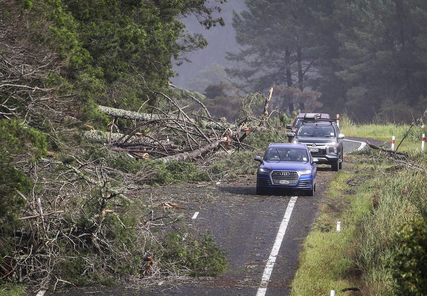 Cars dodge fallen trees on a road at Cook&#039;s Beach, east of Auckland, New Zealand, Tuesday, Feb. 14, 2023. The New Zealand government declared a state of emergency across the country&#039;s North  ...