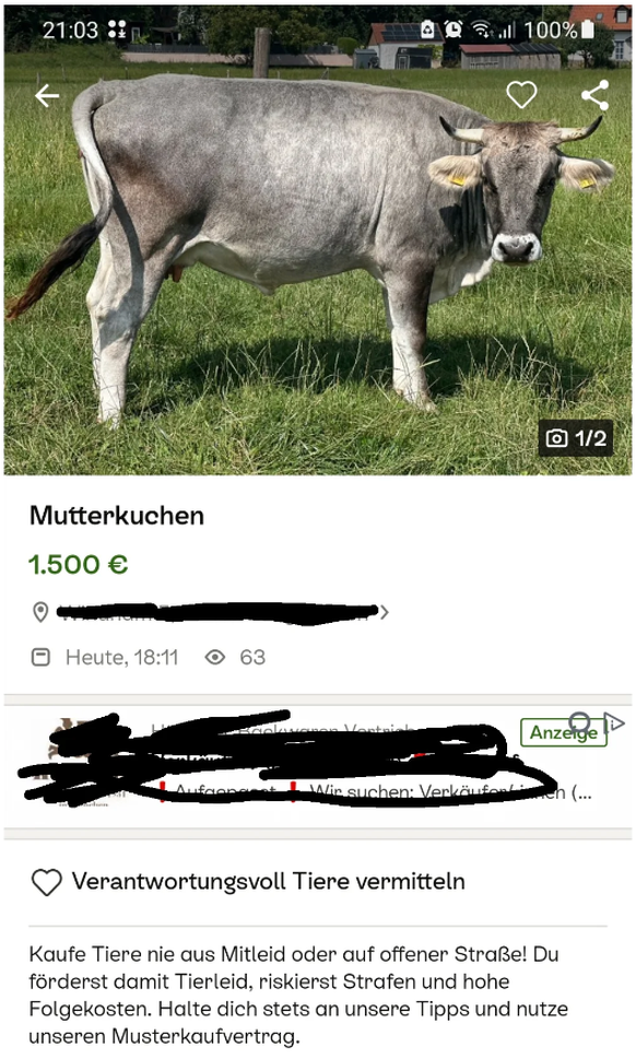 Ebay Kleinanzeigen: Mutterkuchen