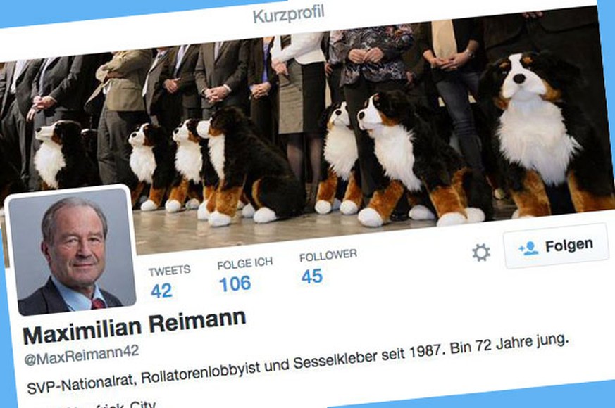 Fake-Twitter-Accont von Maximilian Reimann.