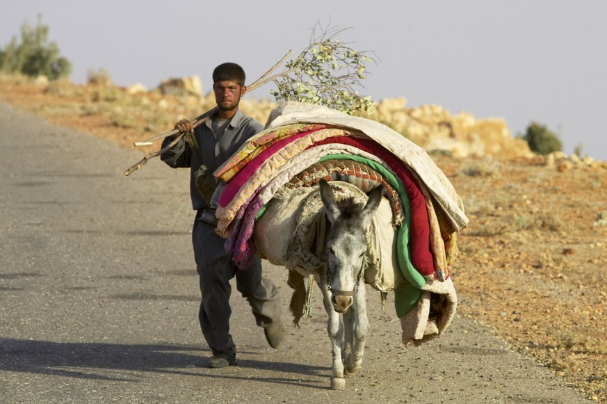Die meisten Jesiden sind arme Bauern und Hirten.&nbsp;