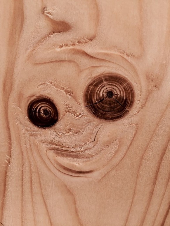 Du ... du siehst es doch auch, oder? Eine neue Folge von: creepy Pareidolie\nHolzwurm