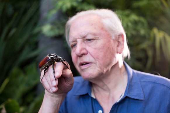 IMAGO ICONS: Sir David Attenborough RECORD DATE NOT STATEDDAVID ATTENBOROUGH in ATTENBOROUGH S JOURNEY (2010). Copyright: xATLANTICxPRODUCTIONSx xAlbumx alb5310604 EDITORIAL USE ONLY