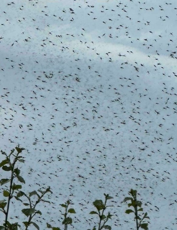 creepy nature

https://www.reddit.com/r/DamnNatureYouScary/comments/1dk2dm1/just_a_regular_summer_day_in_norway/