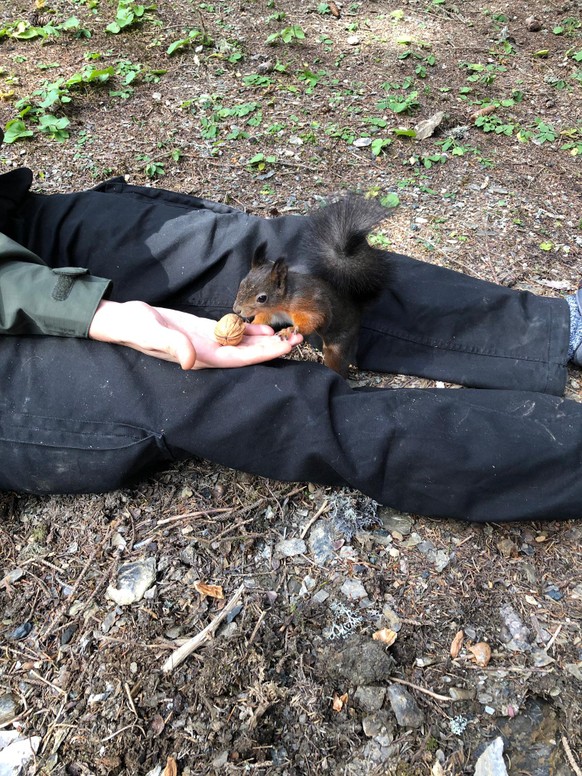 Die Sonne kommt! Deshalb hier die wundervolle watson-Wander-Sammlung
Ich wollte wirklich wandern gehen. Aber dann ist das passiert und deshalb konnte ich nicht wandern gehen...