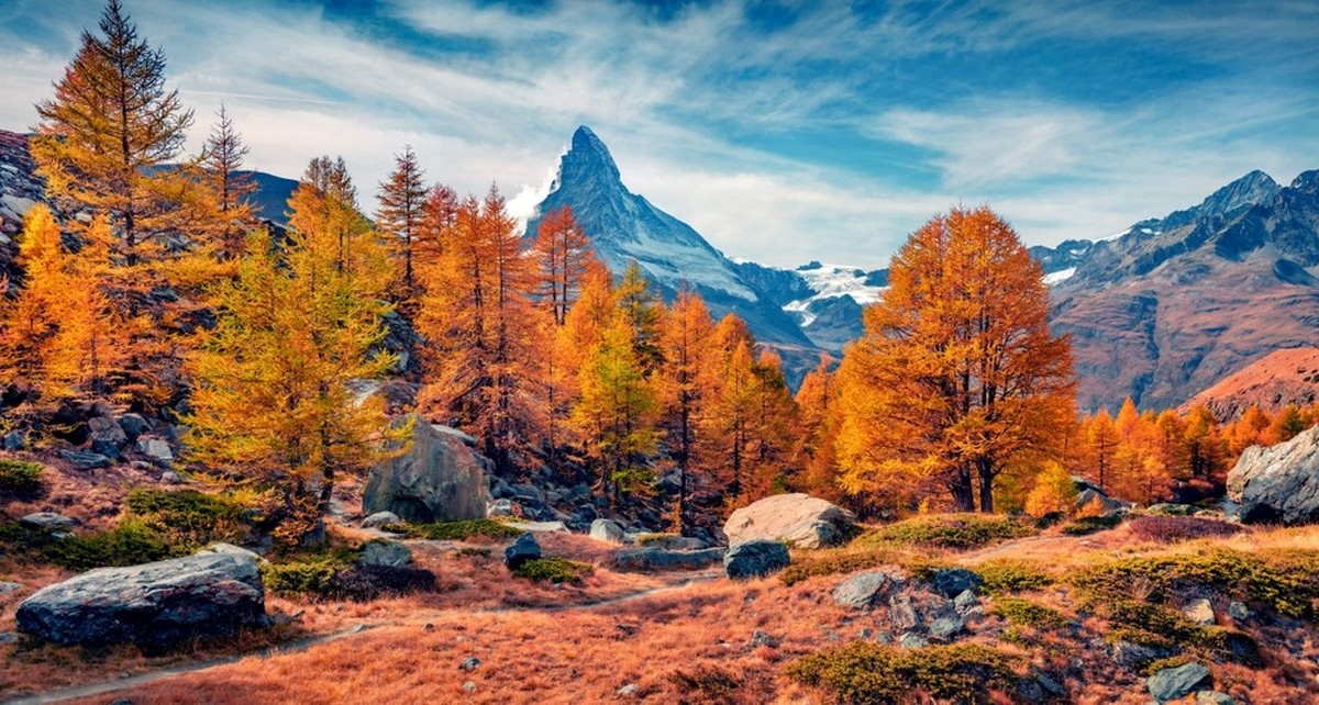 Herbst in der Schweiz Blattverfärbung Bäume Buche Birke Ahorn Lärche