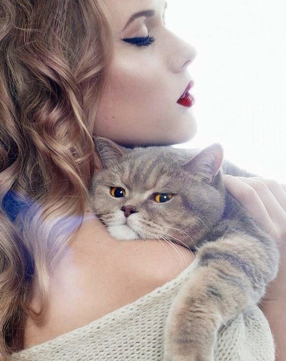 Katzen