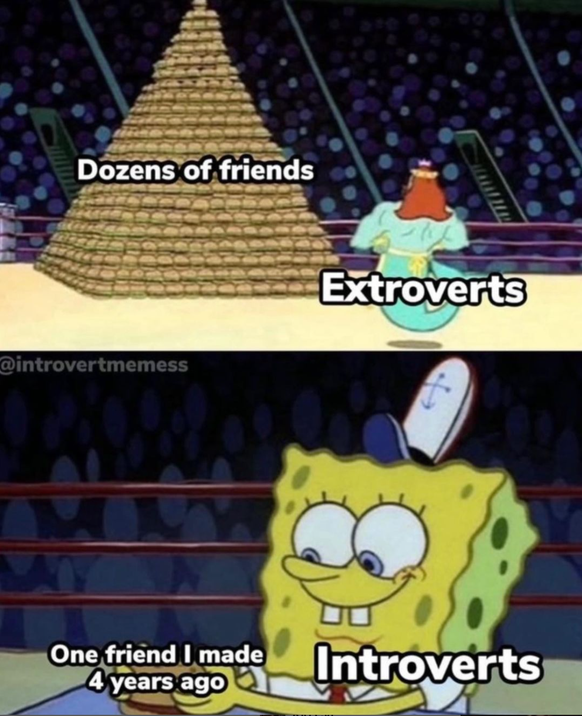 Memes für introvertierte Leute